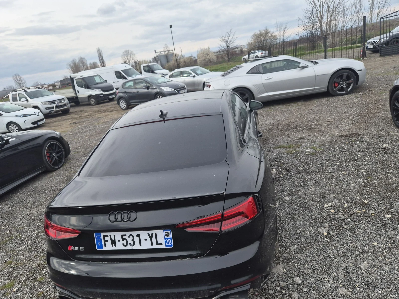 Audi Rs5, снимка 4 - Автомобили и джипове - 53981643