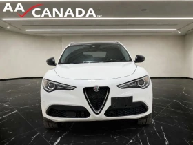 Alfa Romeo Stelvio * АвтоКредит * (ЦЕНА ДО БГ) - 17499 € / 34225.07 лв. - 61374994 2