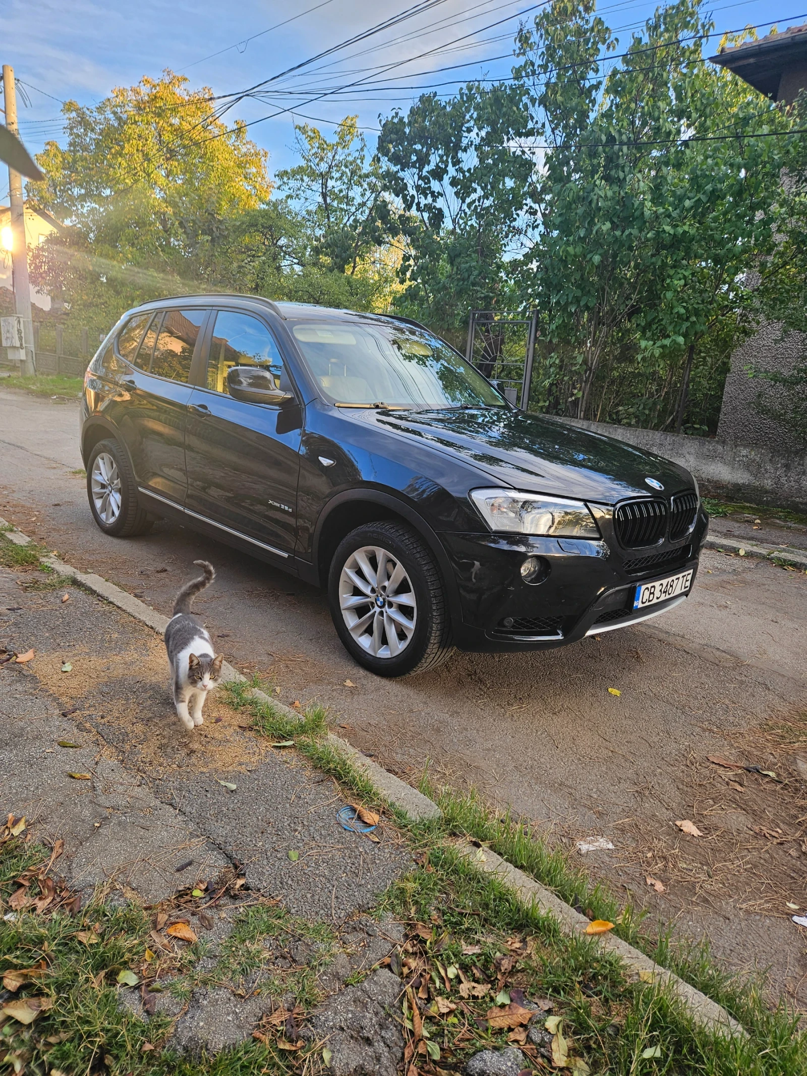 BMW X3 3.5sd - обслужена - изображение 2