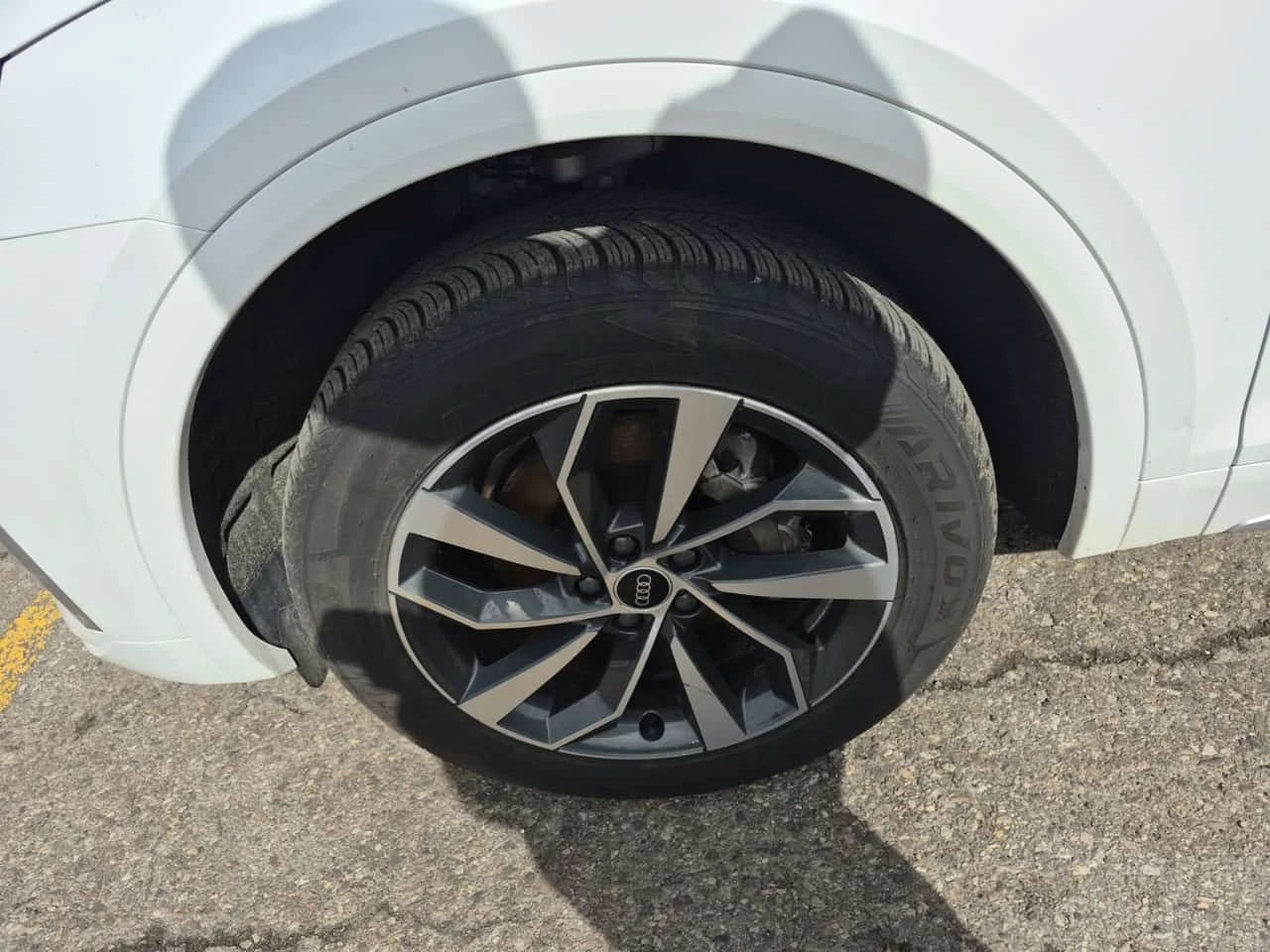 Audi Q5 Progressiv/CARFAX/ФИНАНСИРАНЕ, снимка 6 - Автомобили и джипове - 54974654