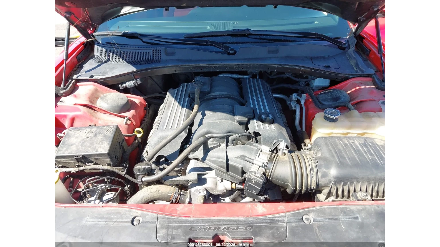 Dodge Charger  Scat Pack Widebody - изображение 2