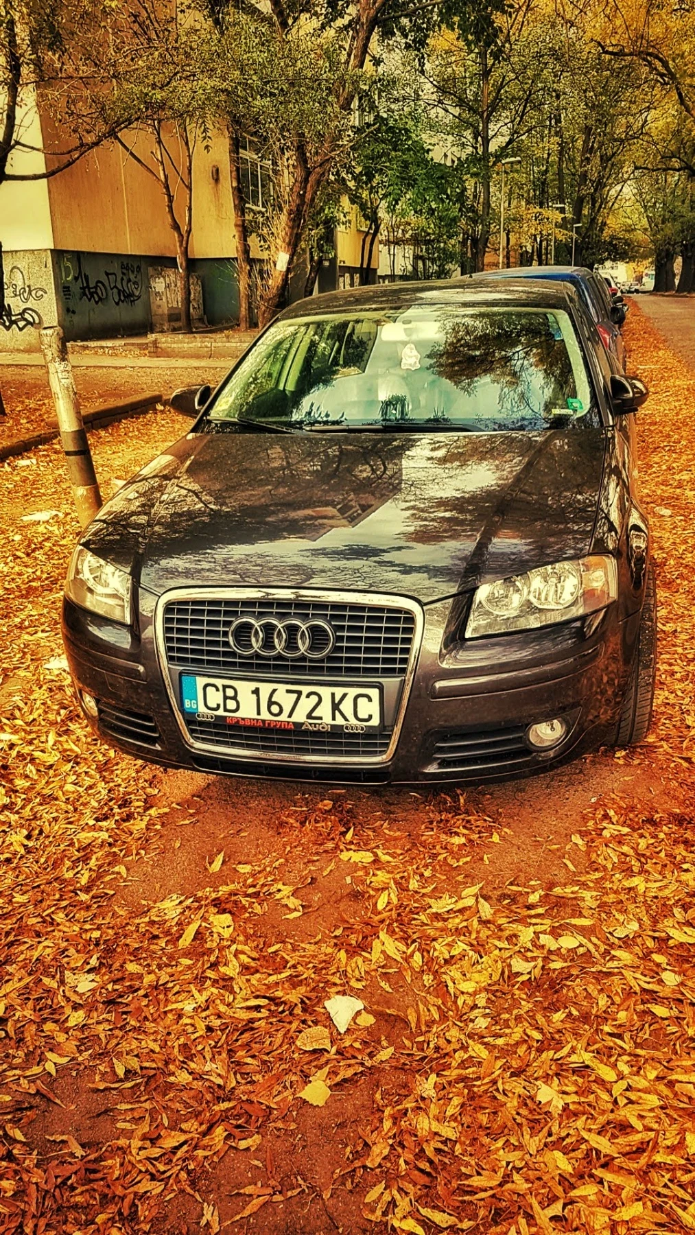 Audi A3, снимка 3 - Автомобили и джипове - 53898698