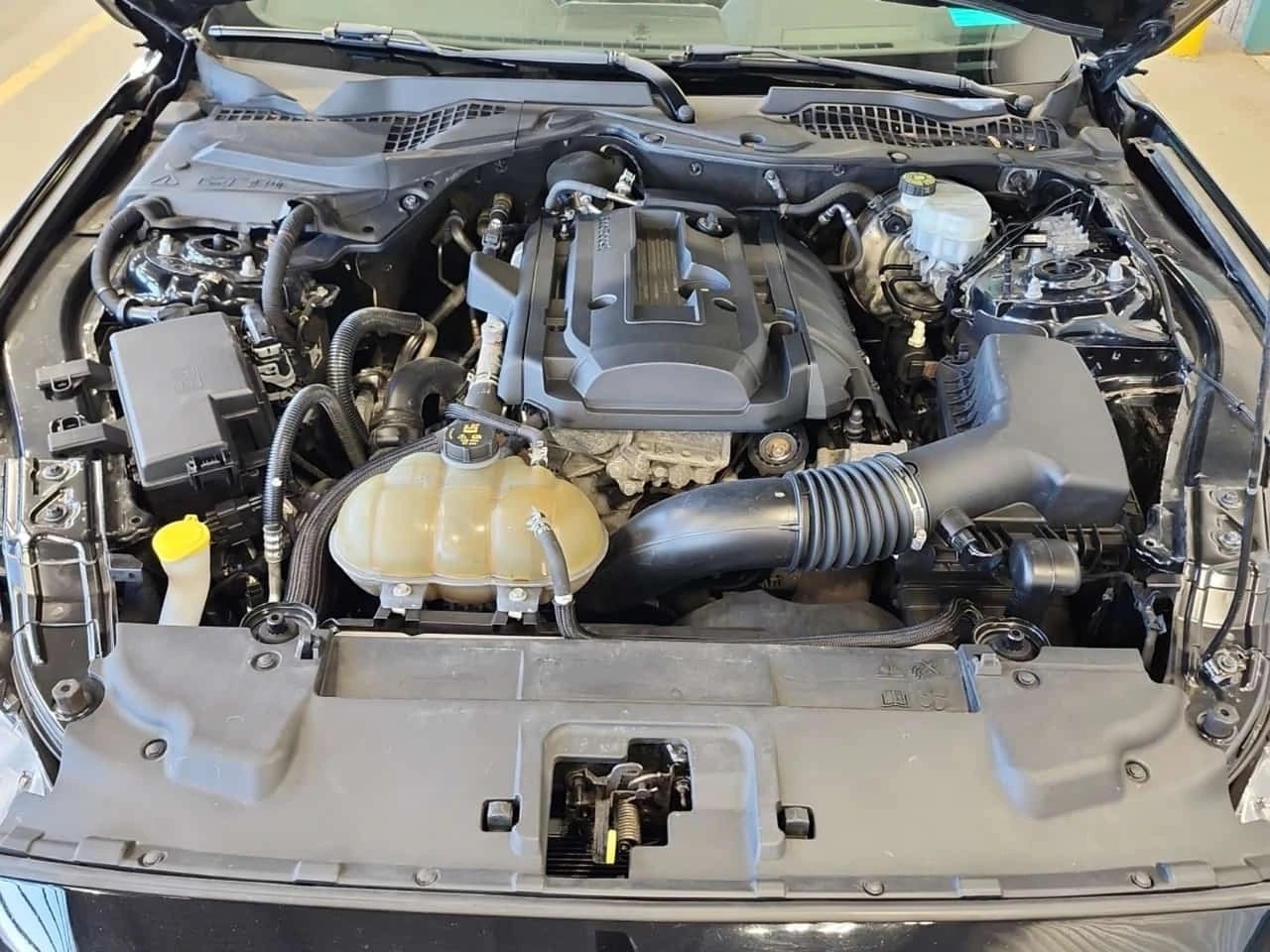 Ford Mustang *  Ecoboost Premium * CARFAX * 2 ����� *  | Mobile.bg � ����������� 17