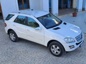 Mercedes-Benz ML 350 | Mobile.bg    2