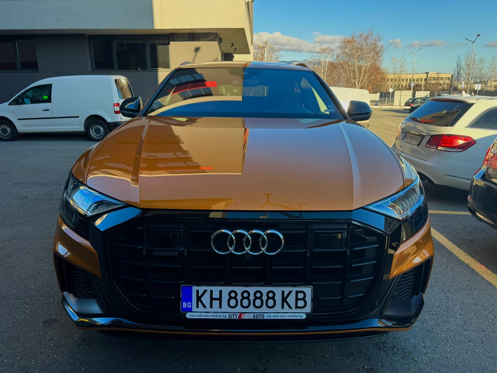 Audi Q8  - изображение 2