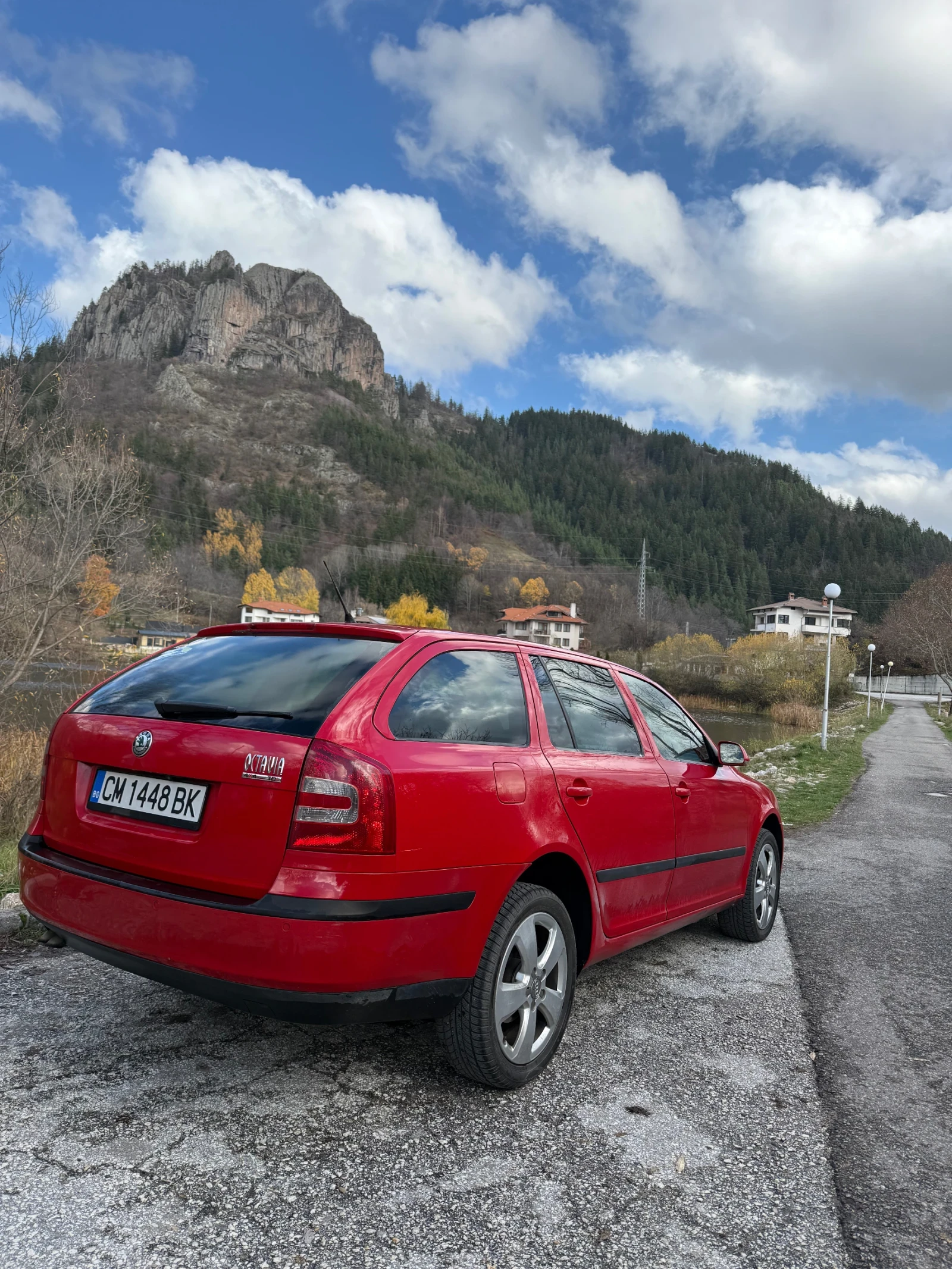 Skoda Octavia 4x4, снимка 1