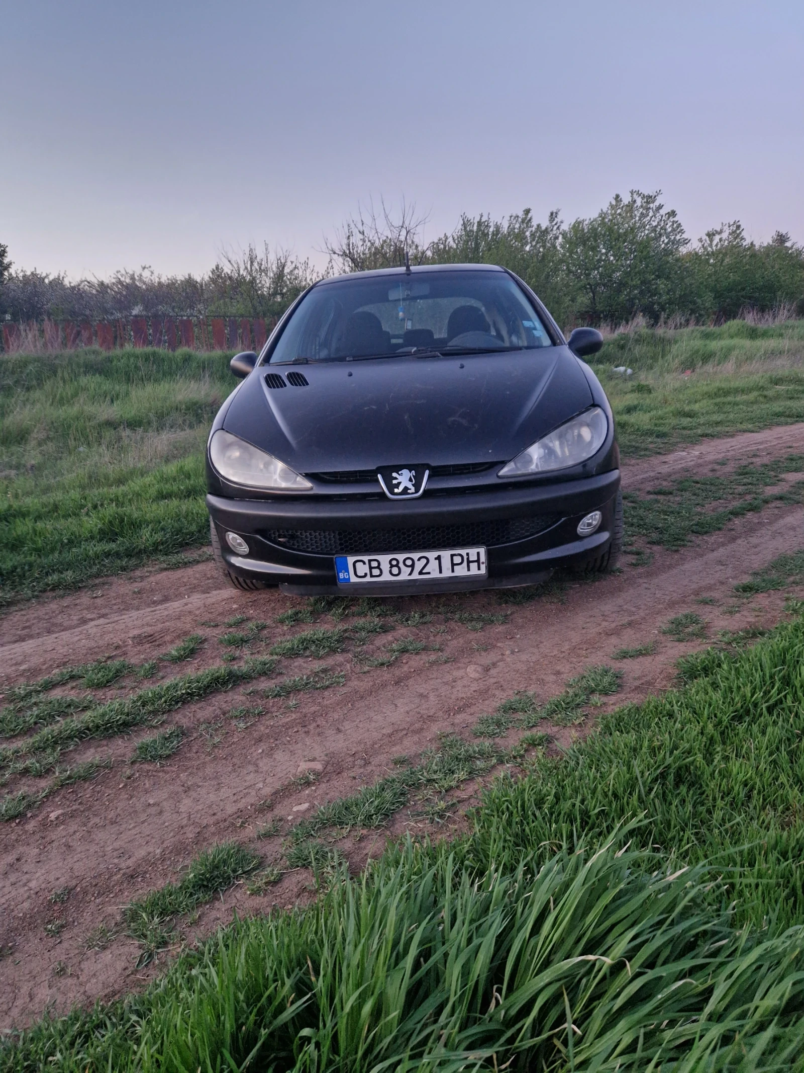 Peugeot 206 1.4 HDi, снимка 4 - Автомобили и джипове - 54371582