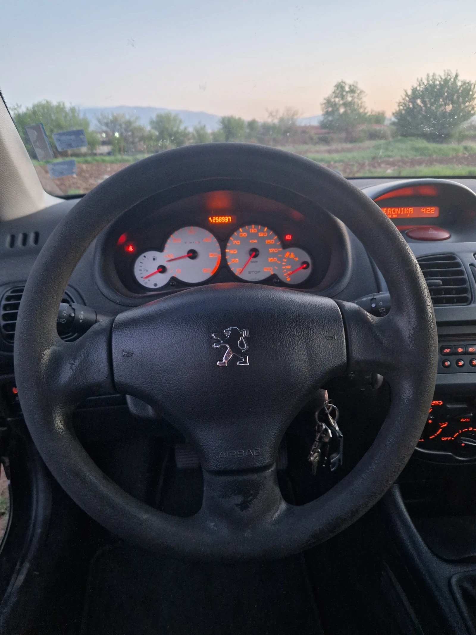 Peugeot 206 1.4 HDi, снимка 10 - Автомобили и джипове - 54371582