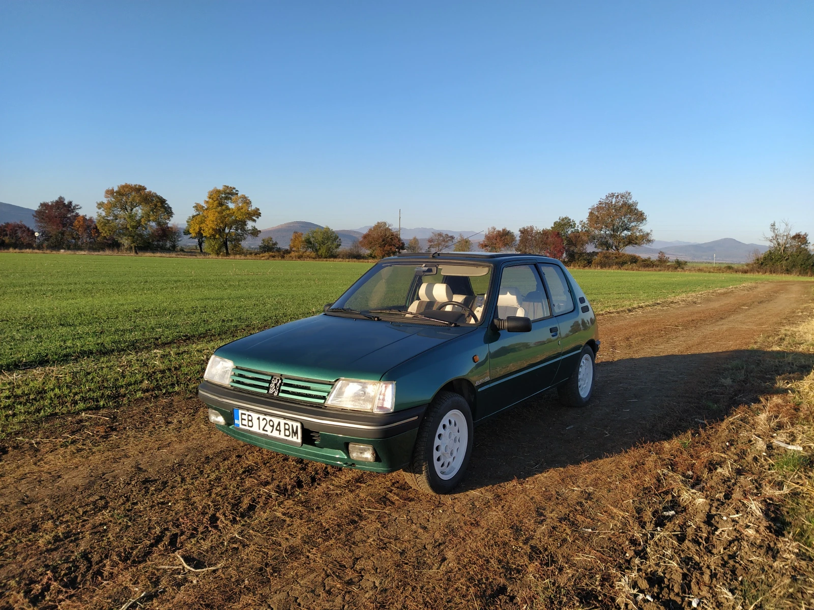 Peugeot 205 XS - изображение 10