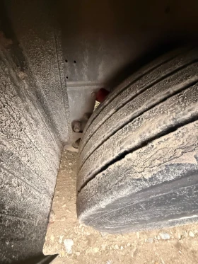 Полуремарке Schmitz, снимка 6 - Ремаркета - 53420964