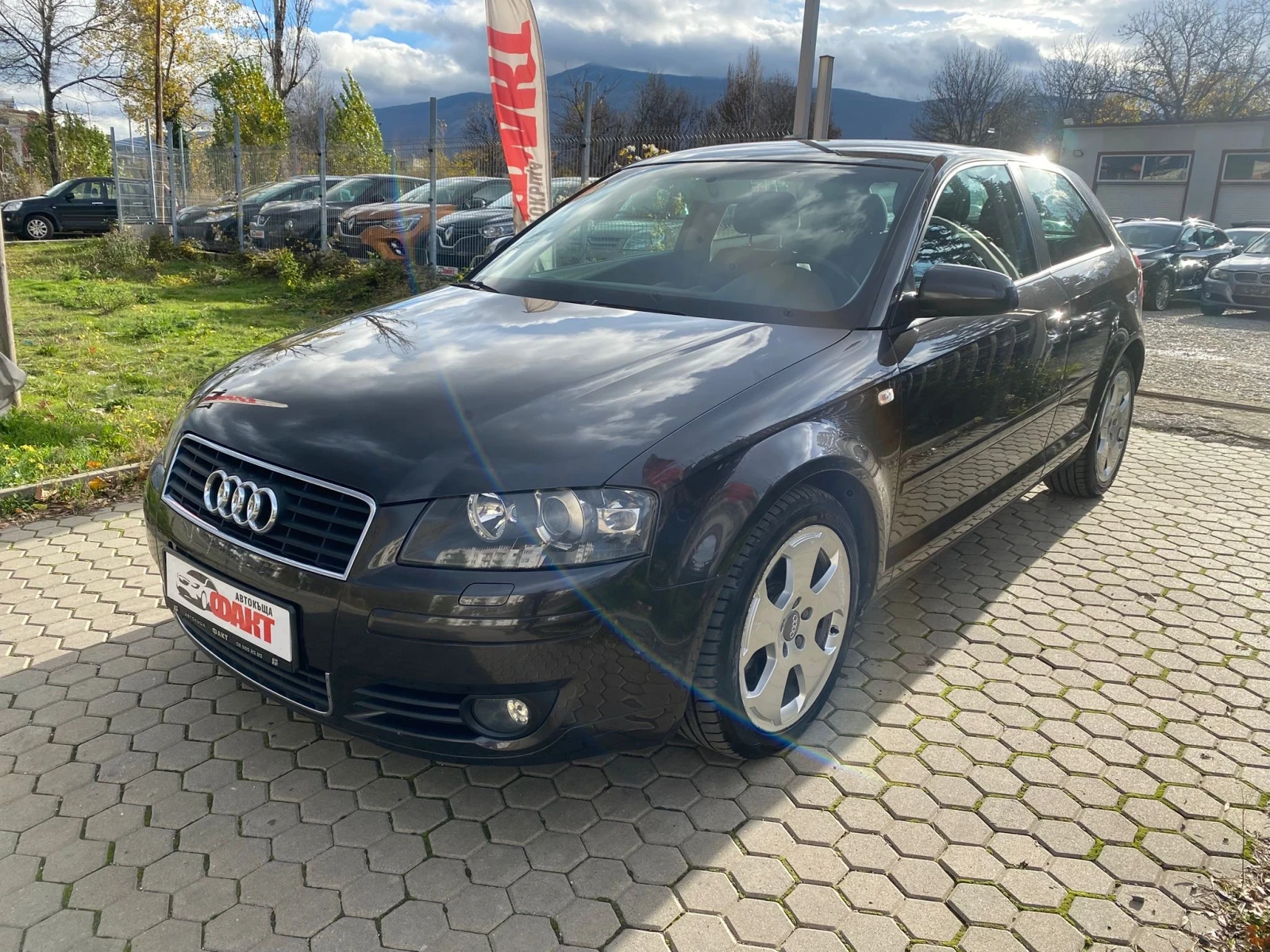 Audi A3 2.0TDi/EURO.4, снимка 1