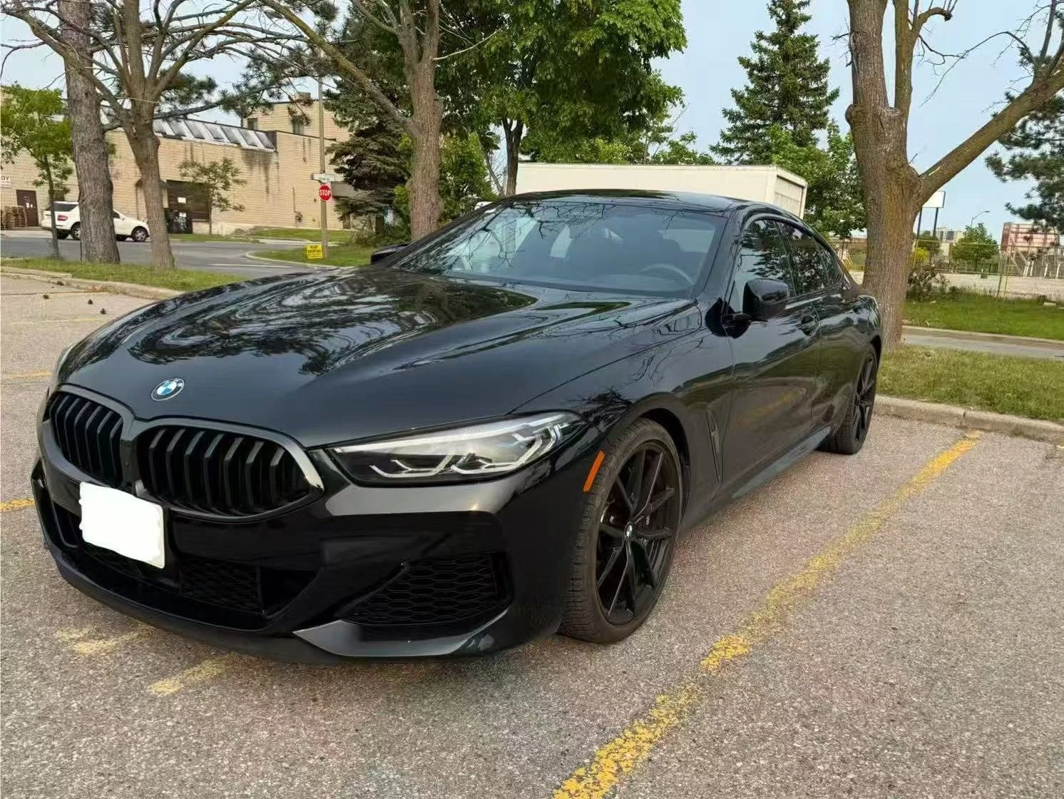 BMW 850 * ЦЕНА ДО БЪЛГАРИЯ* (CARFAX) - изображение 2