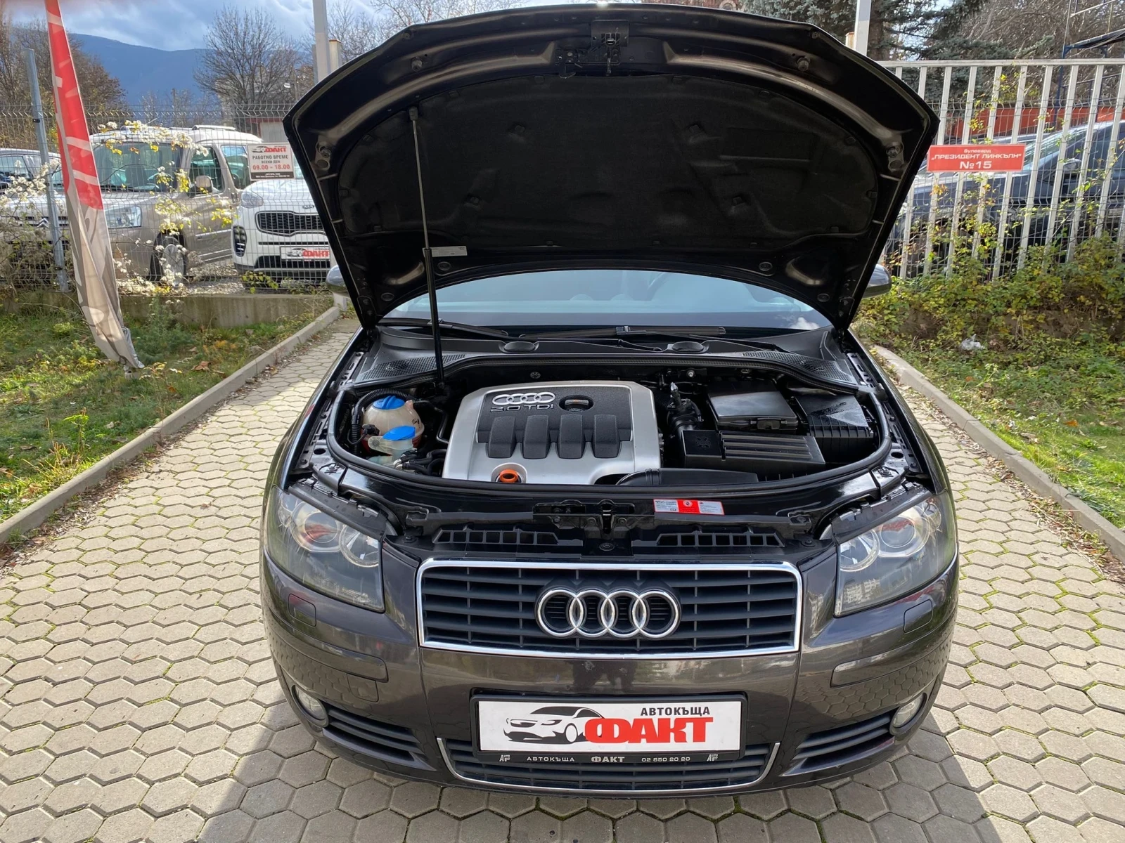 Audi A3 2.0TDi/EURO.4 | Mobile.bg   16