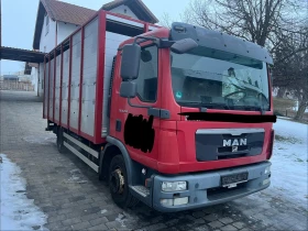 Man Tgl 8.250* Животновоз* Автоматик* Климатик* Германия* 