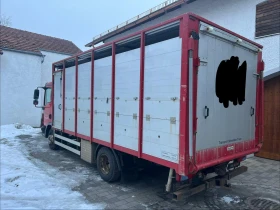 Man Tgl 8.250* ����������* ���������* ��������* ��������*  | Mobile.bg � ����� ������ 5