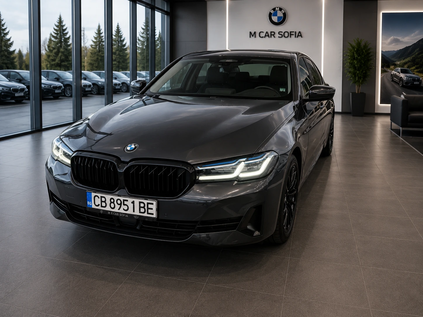 BMW 530 Luxury Line
