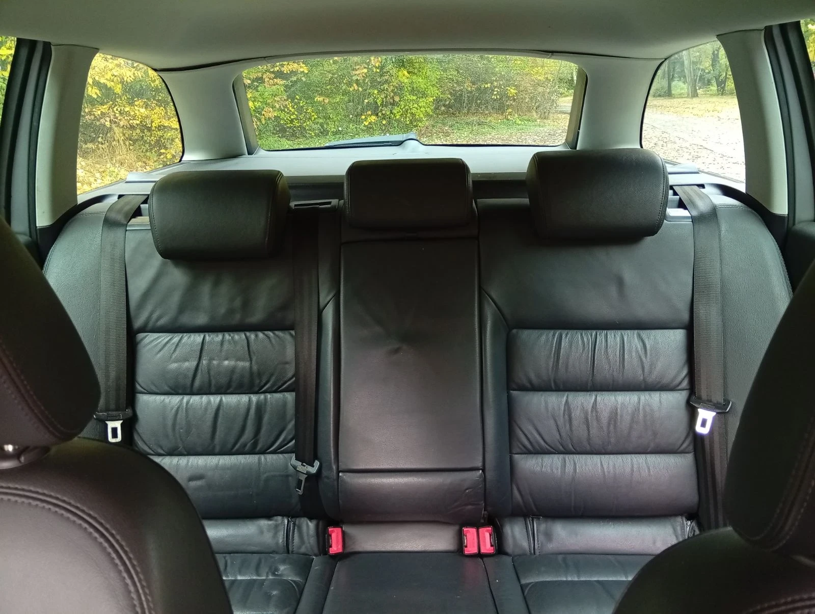 Skoda Octavia, снимка 14 - Автомобили и джипове - 56549572