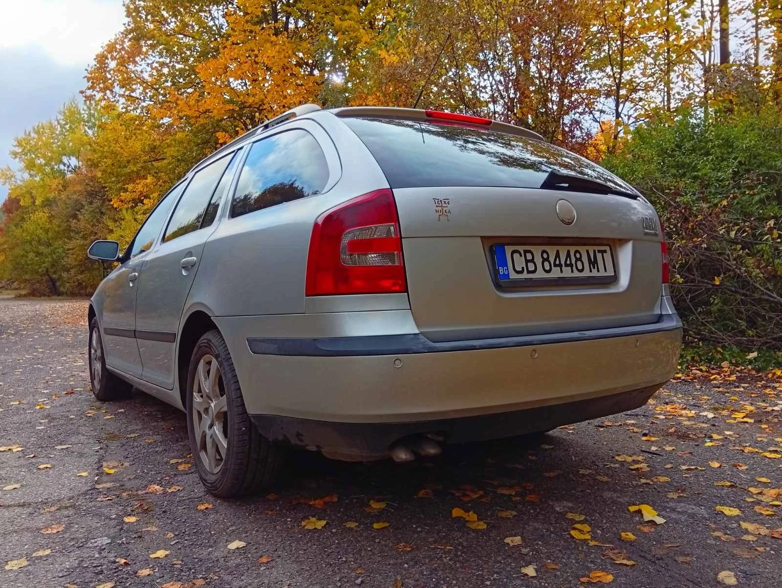 Skoda Octavia, снимка 3 - Автомобили и джипове - 56549572