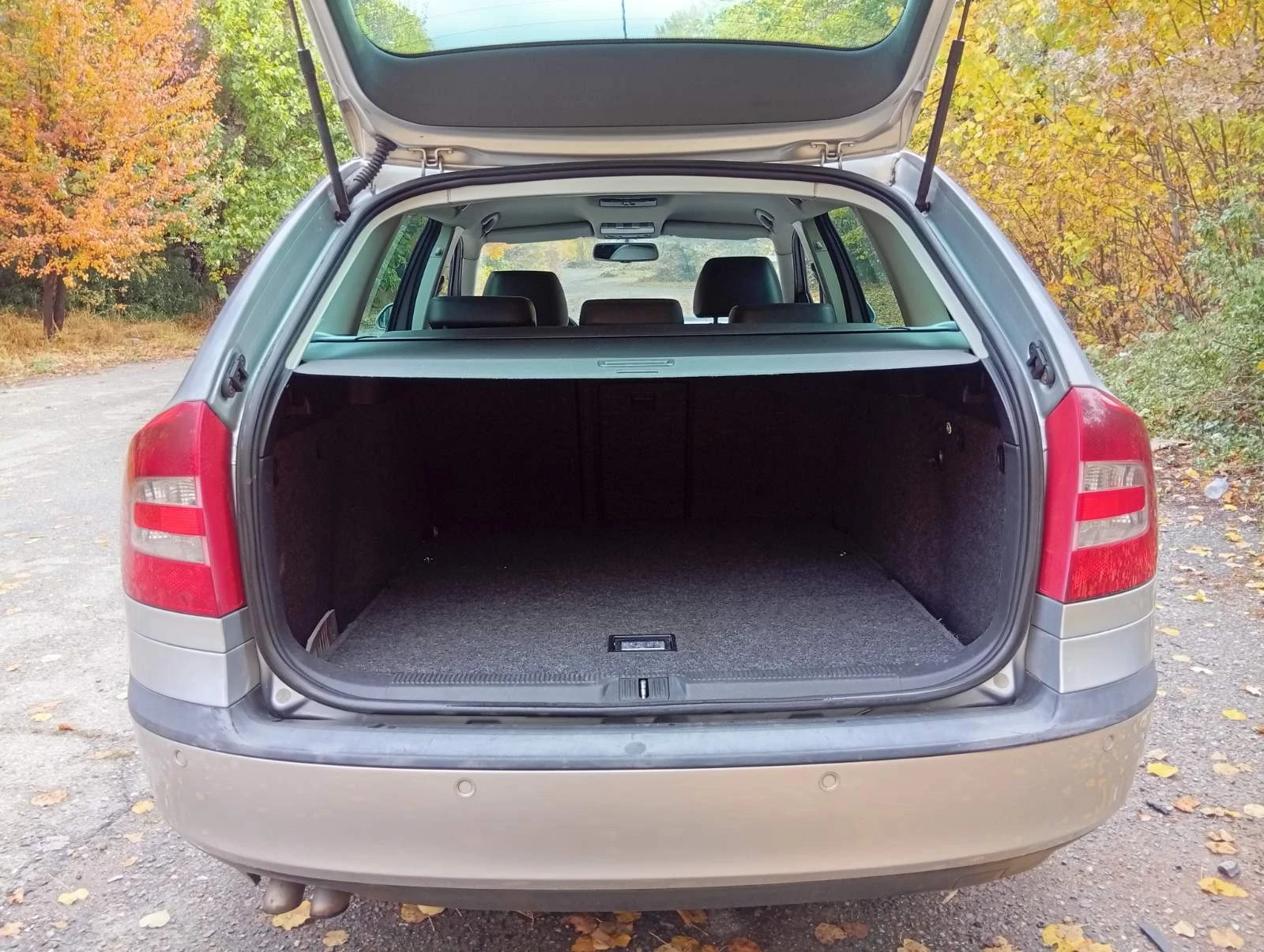 Skoda Octavia, снимка 6 - Автомобили и джипове - 56549572