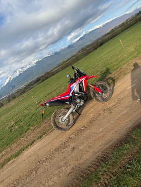 Honda Crf Crf 300 Rally | Mobile.bg    11