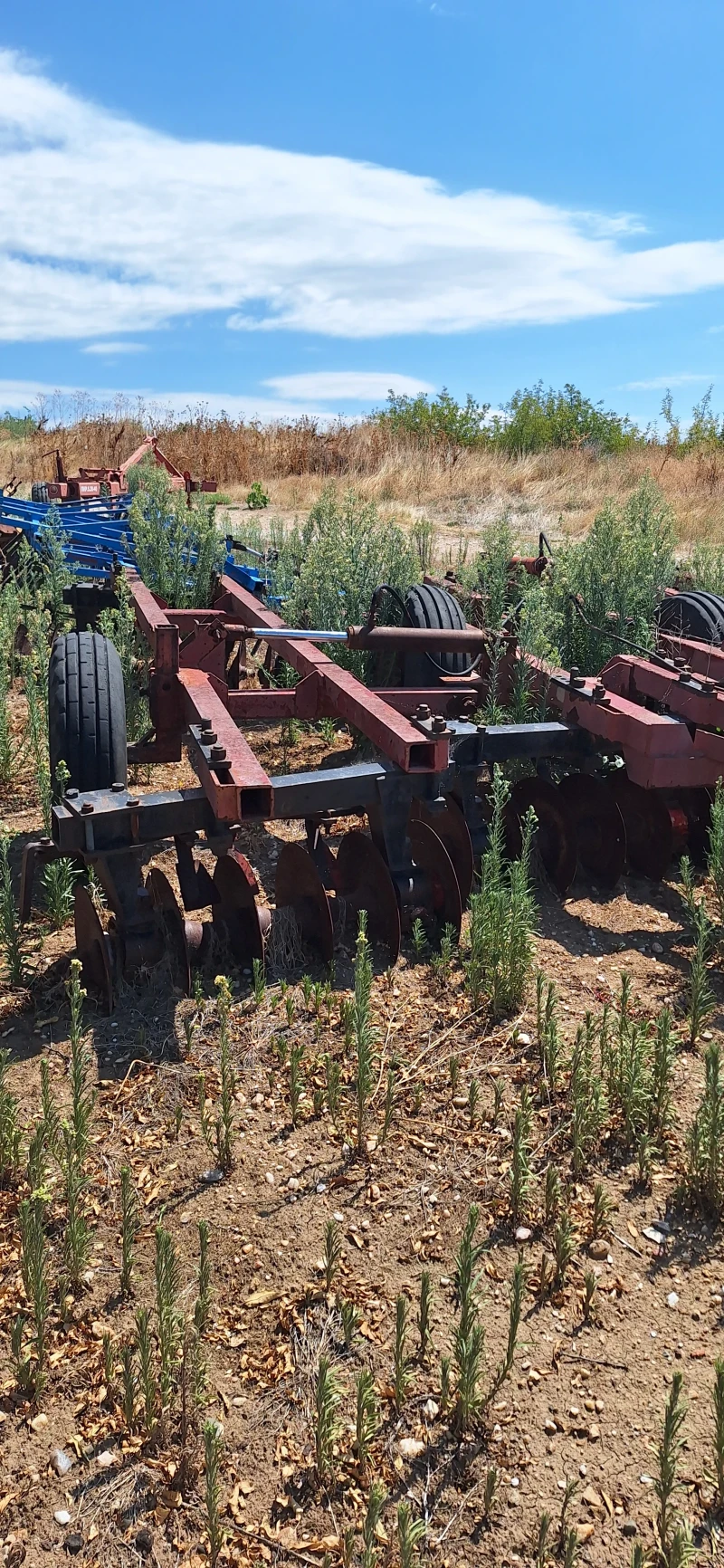 Брана Друга марка БД 5, снимка 3 - Селскостопанска техника - 52929489