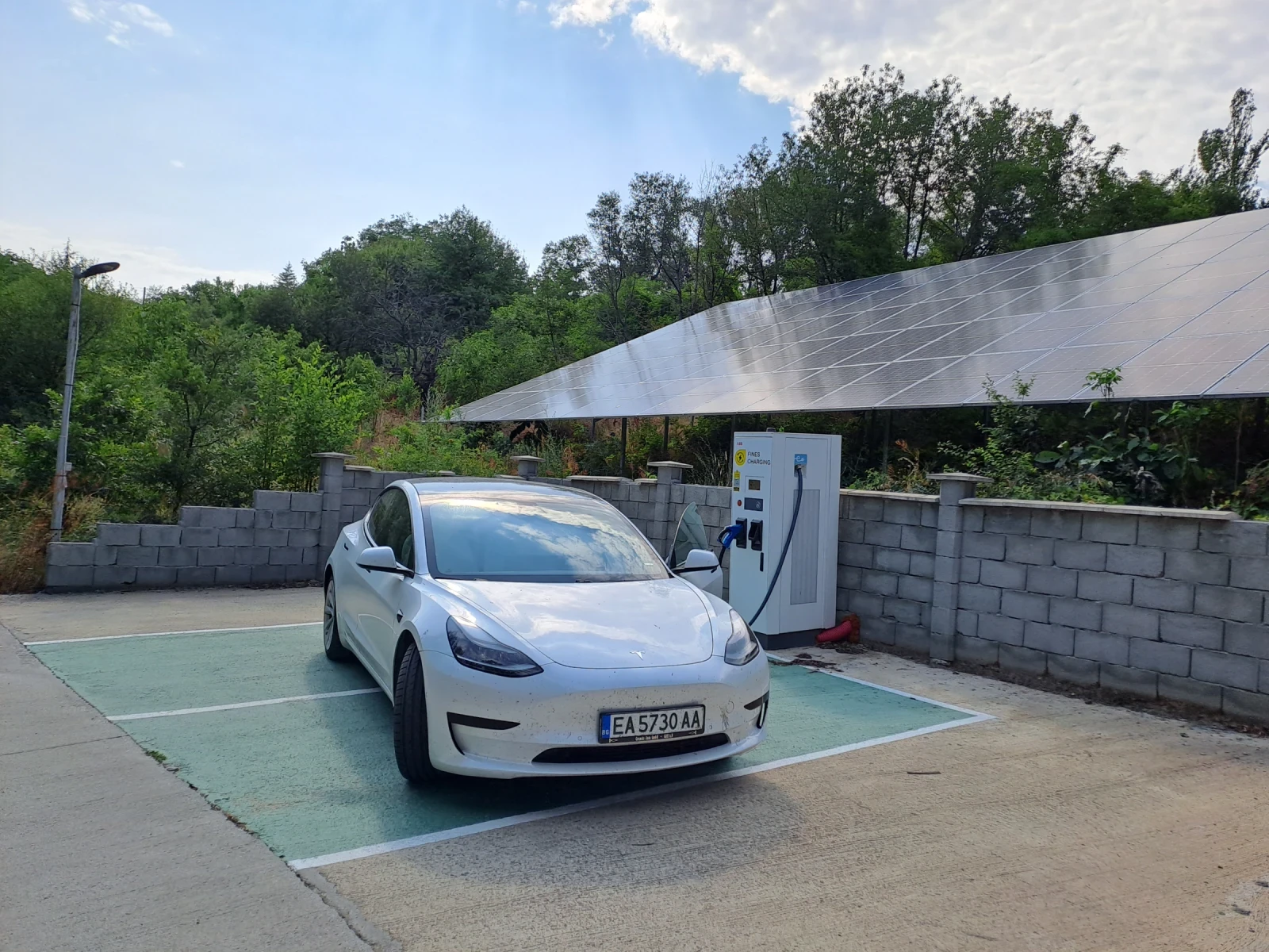 Tesla Model 3  - изображение 6