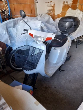     Suzuki AP 50