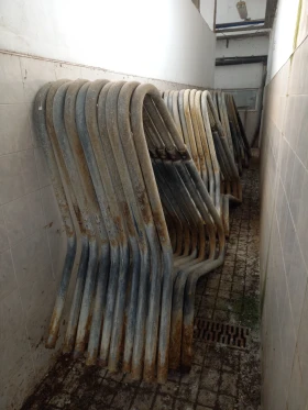 Друг вид Внос Делавал, снимка 4