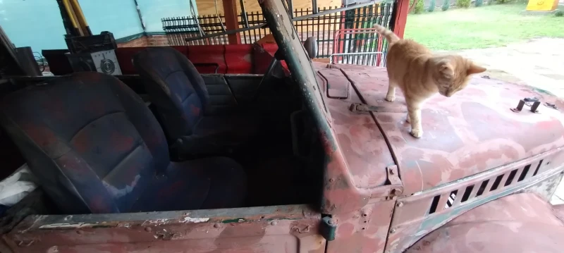 Gaz 69 1, снимка 7 - Автомобили и джипове - 53140044