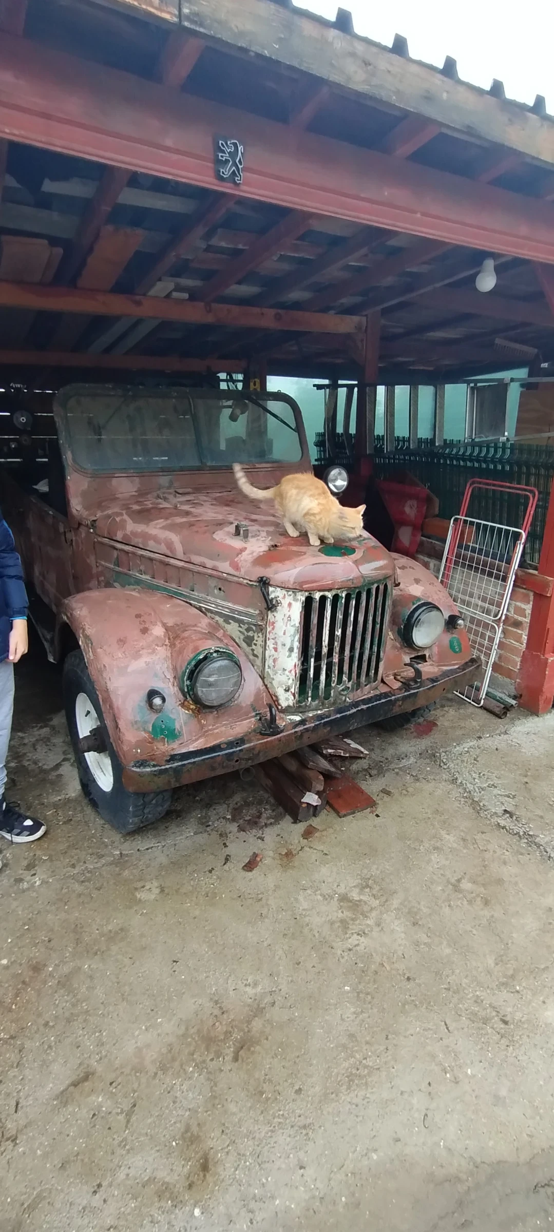 Gaz 69 1 | Mobile.bg � ����������� 9