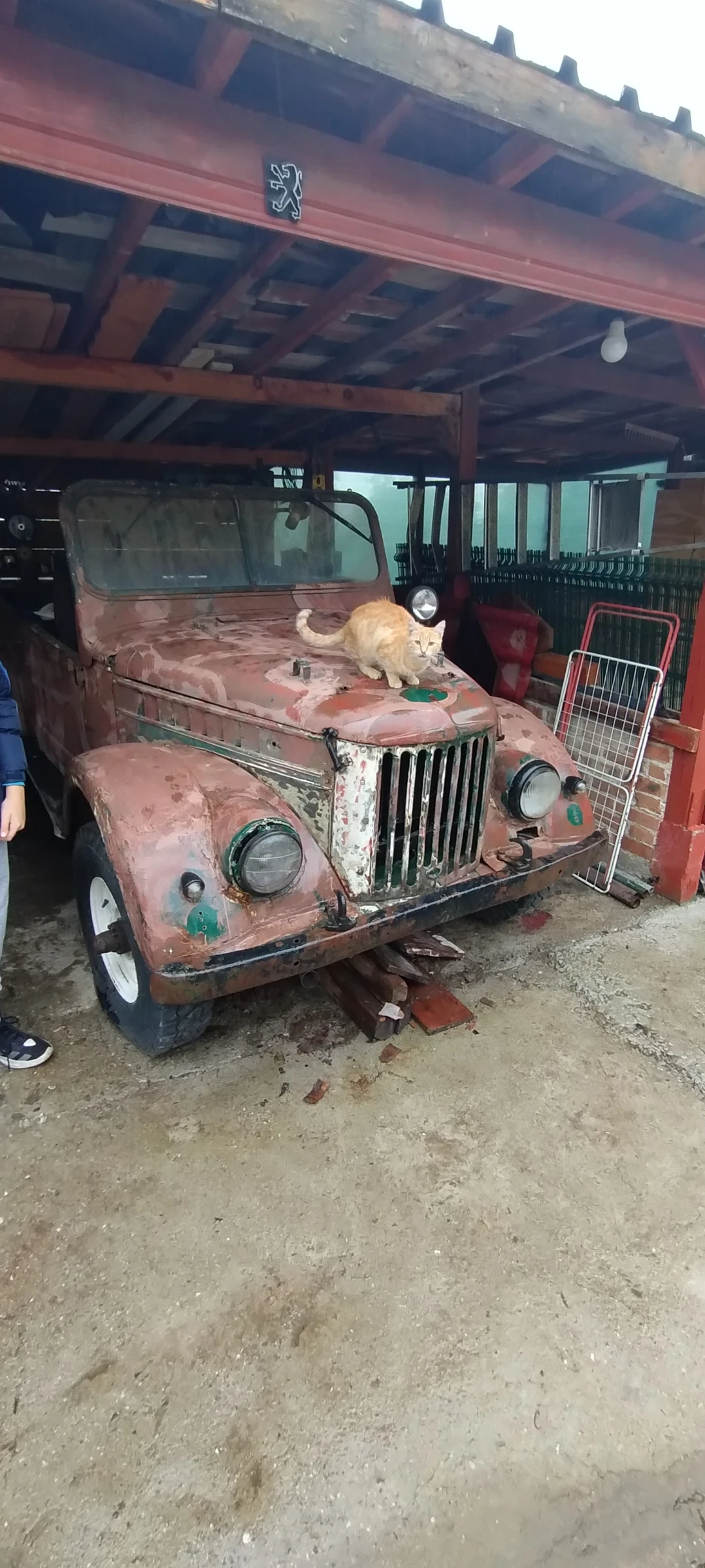 Gaz 69 1 | Mobile.bg � ����������� 1