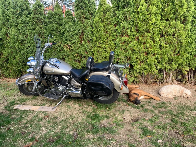 Yamaha Drag Star XVS 1100 A, снимка 3 - Мотоциклети и мототехника - 52511585