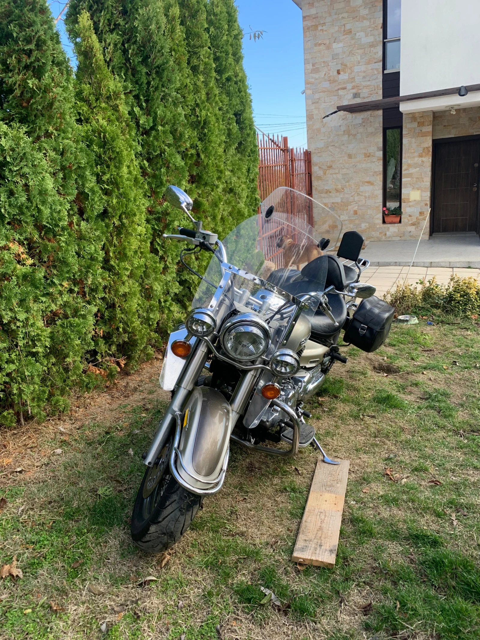 Yamaha Drag Star XVS 1100 A - изображение 7