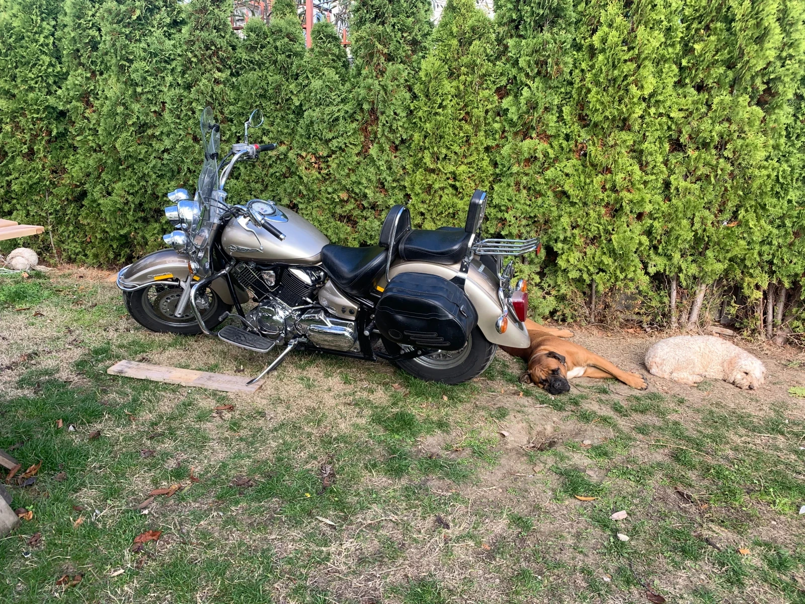 Yamaha Drag Star XVS 1100 A - изображение 4
