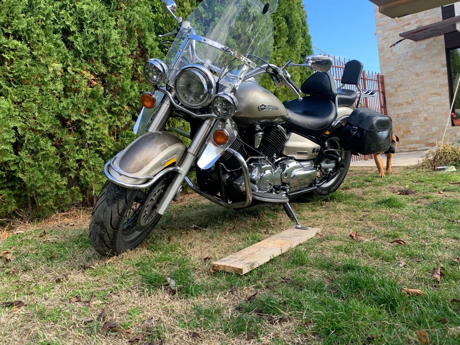 Yamaha Drag Star XVS 1100 A - изображение 6