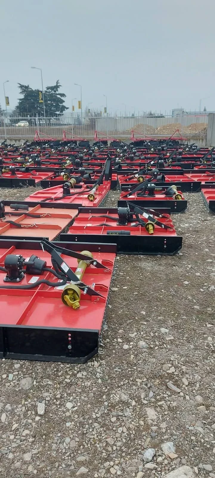 Друг вид Внос  - изображение 7