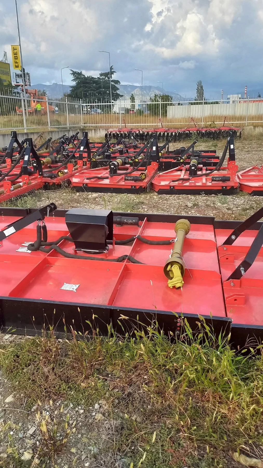 Друг вид Внос  - изображение 2