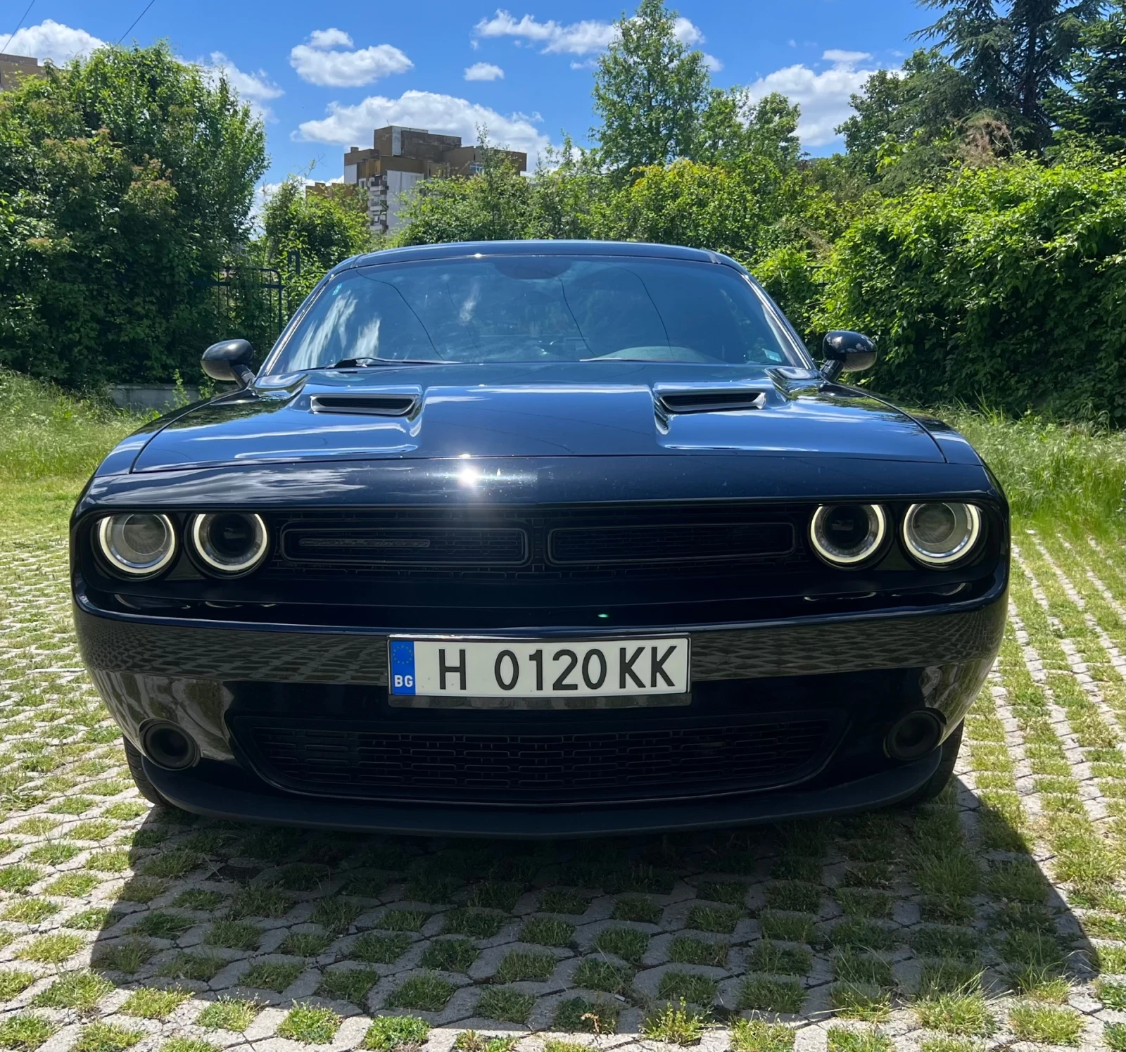 Dodge Challenger 3.6 SXT - изображение 2