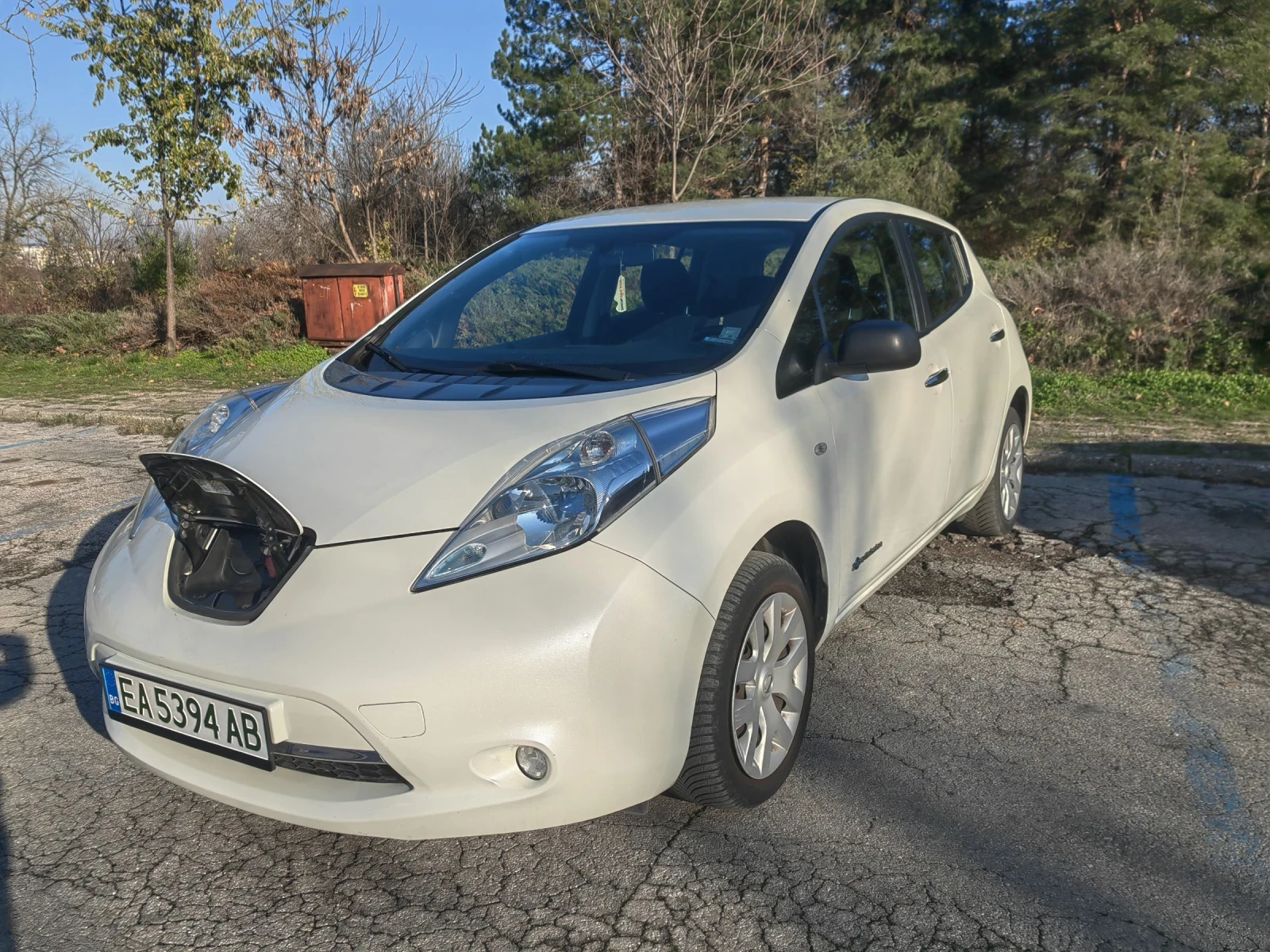 Nissan Leaf  24kw Tekna | Mobile.bg � ����������� 1