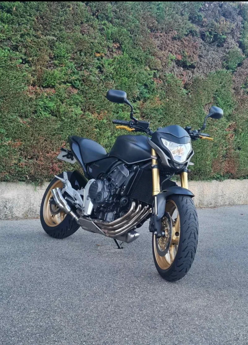 Honda Hornet 600, снимка 6 - Мотоциклети и мототехника - 52566664