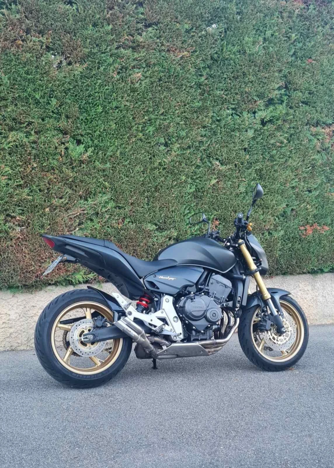 Honda Hornet 600 - изображение 3