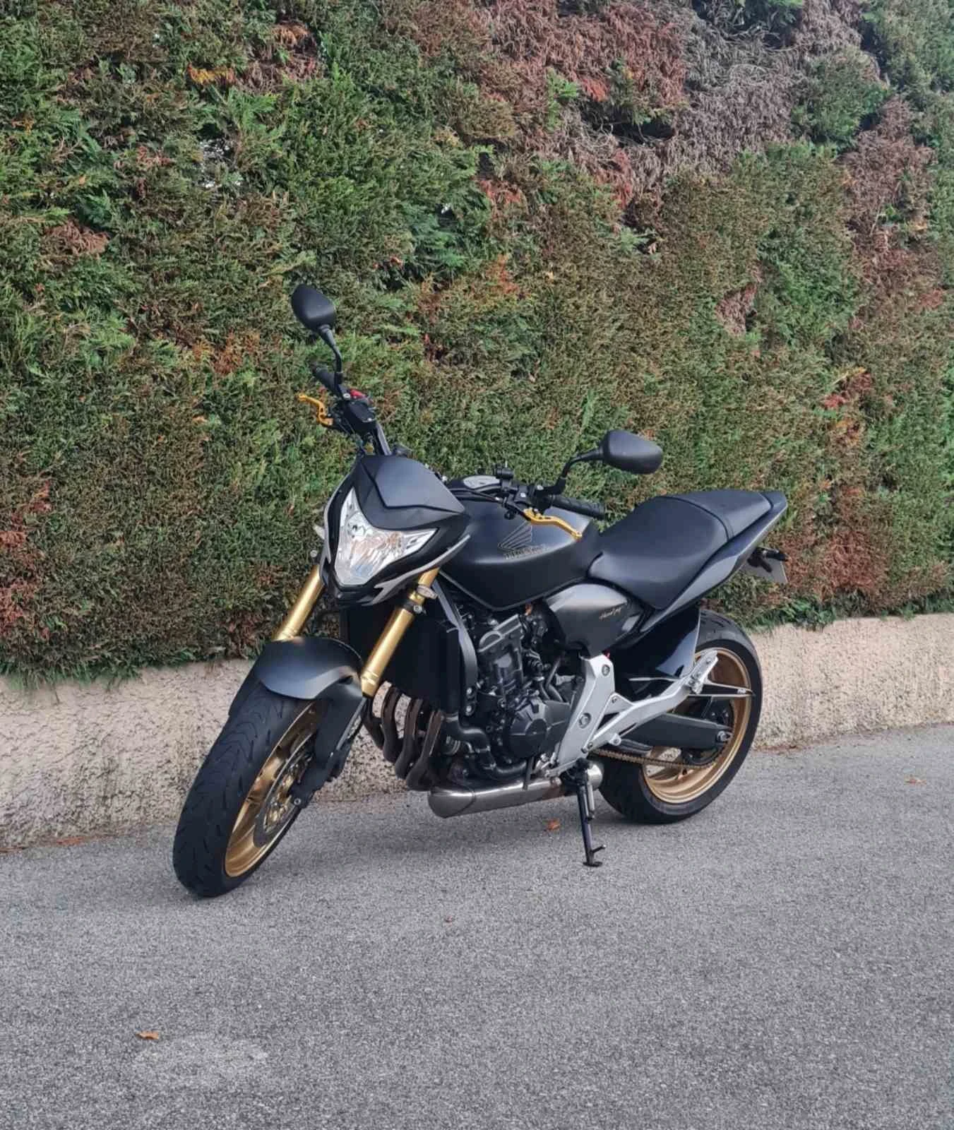 Honda Hornet 600 - изображение 2