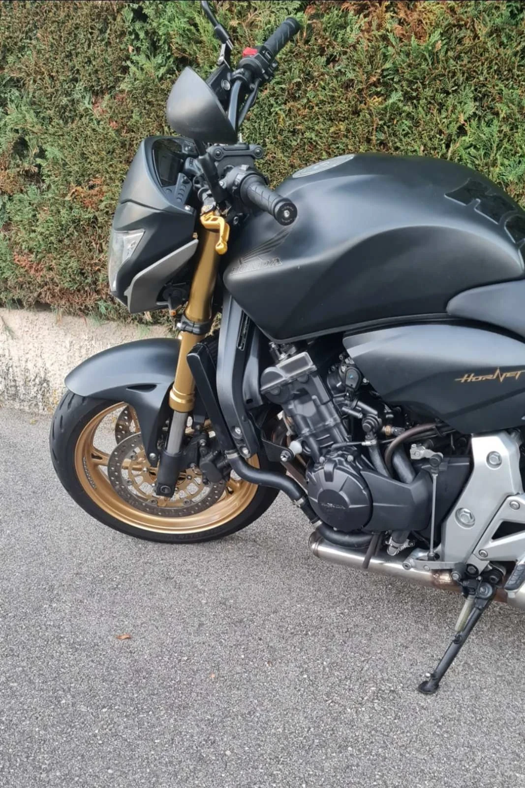 Honda Hornet 600 - изображение 4