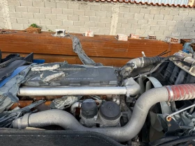 Man Tgx 440       | Mobile.bg    3