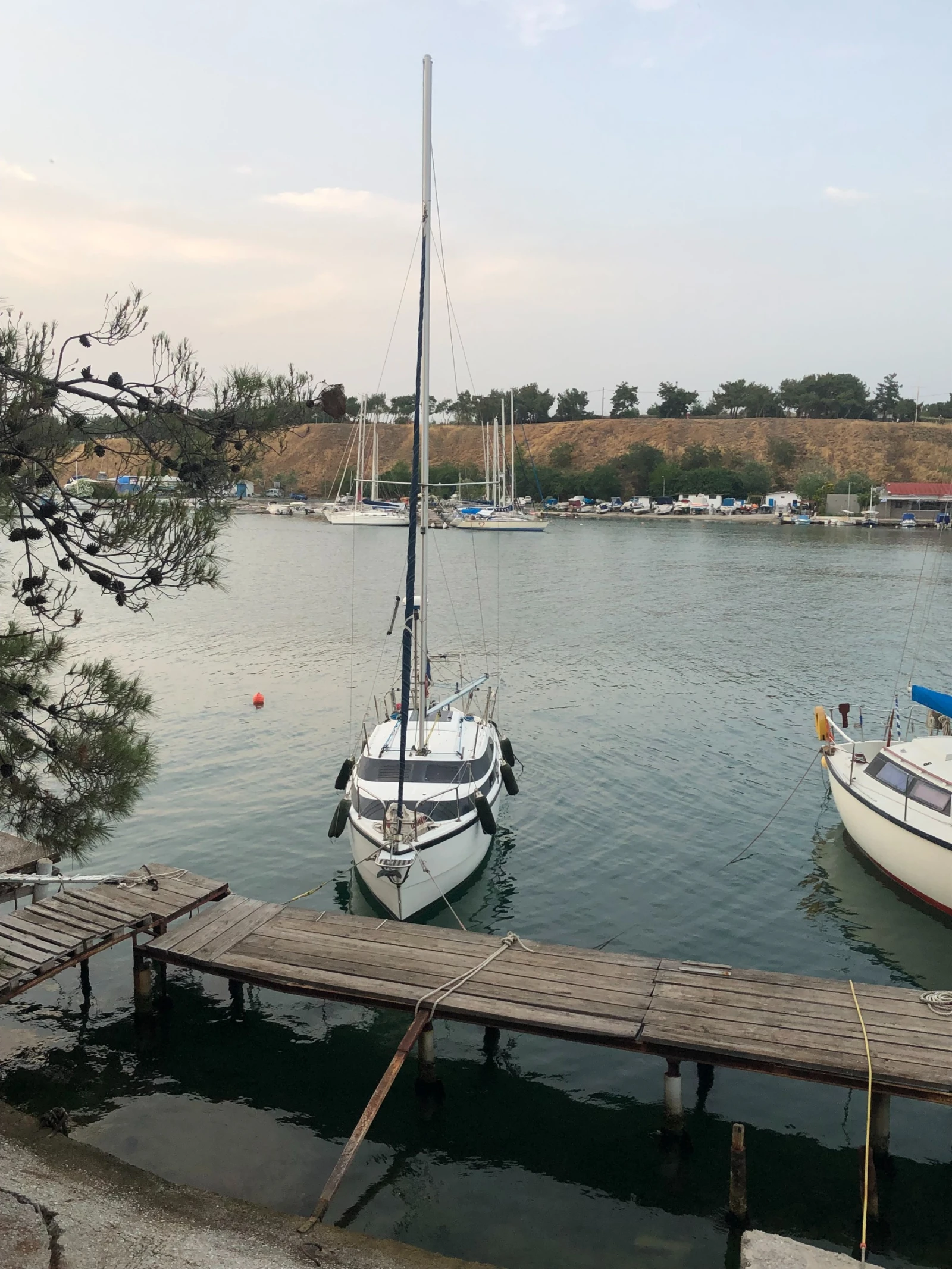 ���������� ����� MacGregor 26M | Mobile.bg � ����������� 1