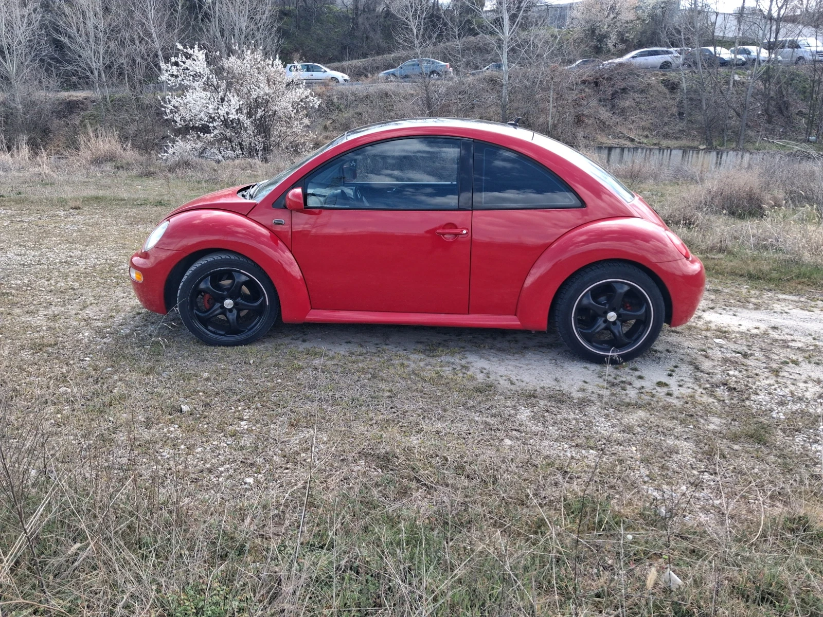 VW Beetle, снимка 4 - Автомобили и джипове - 54148451