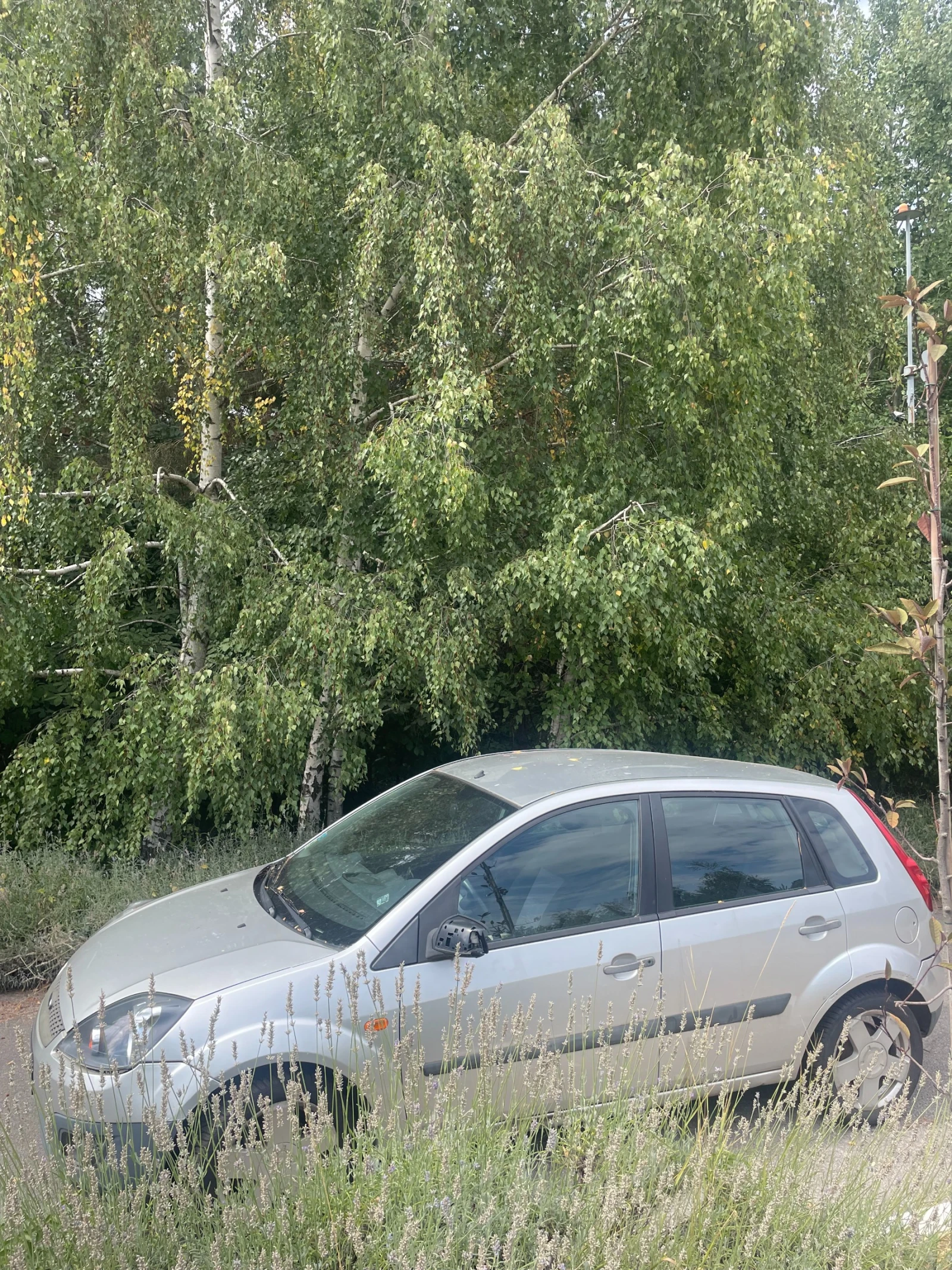 Ford Fiesta няма, снимка 6 - Автомобили и джипове - 56106721