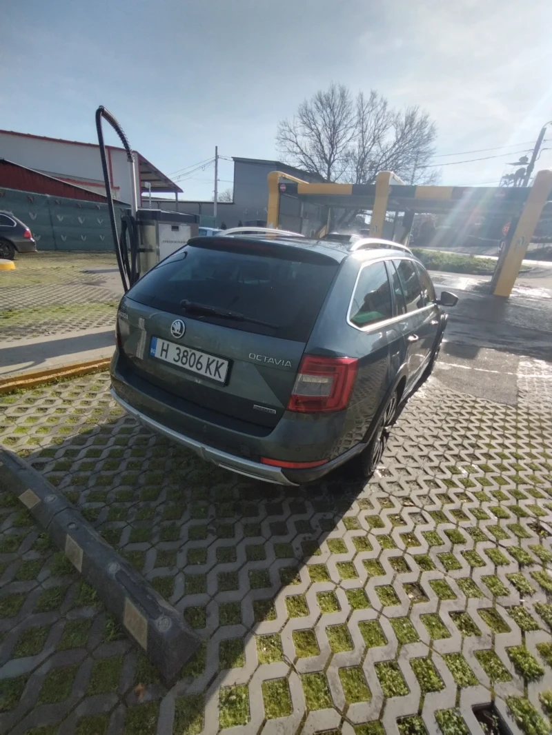 Skoda Octavia, снимка 4 - Автомобили и джипове - 53418600