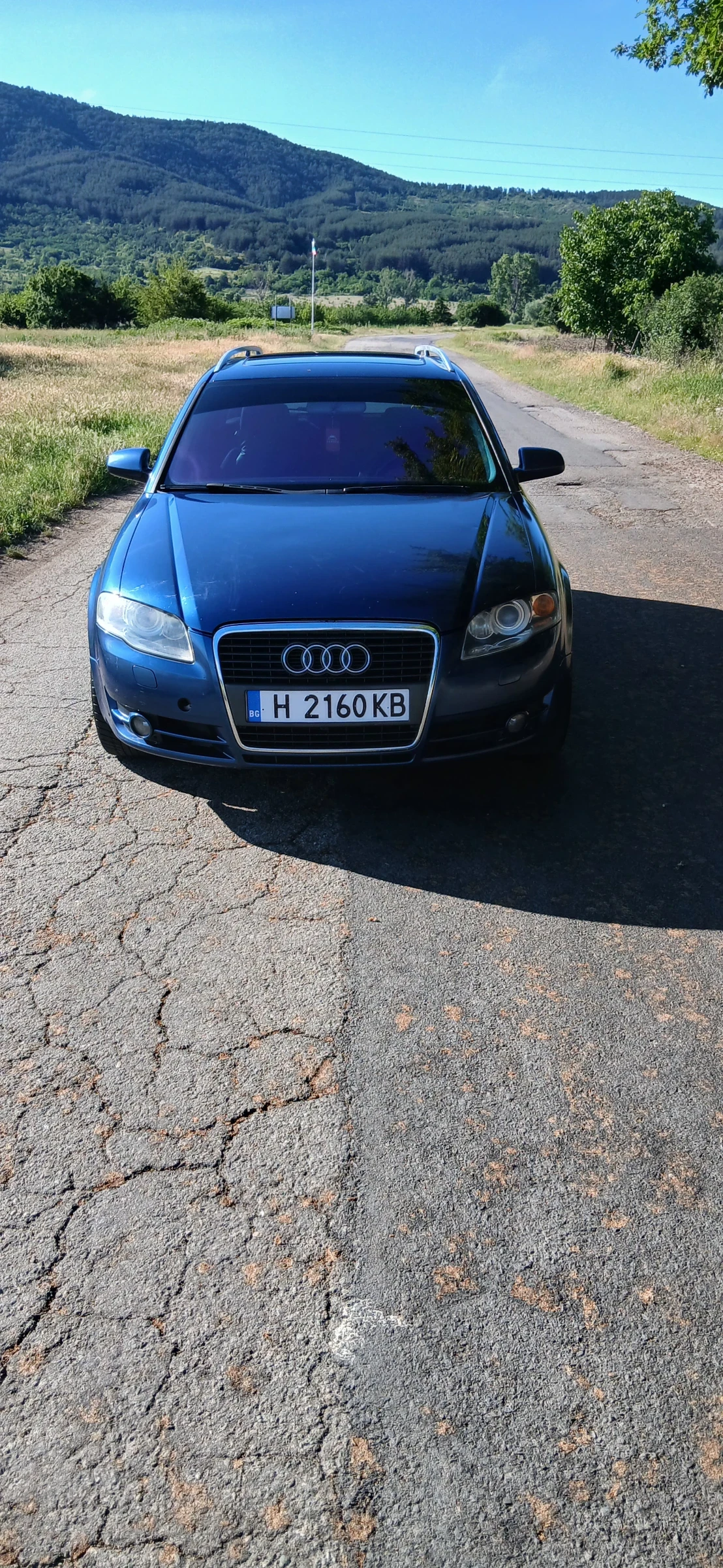 Audi A4 B7, снимка 3 - Автомобили и джипове - 54936893