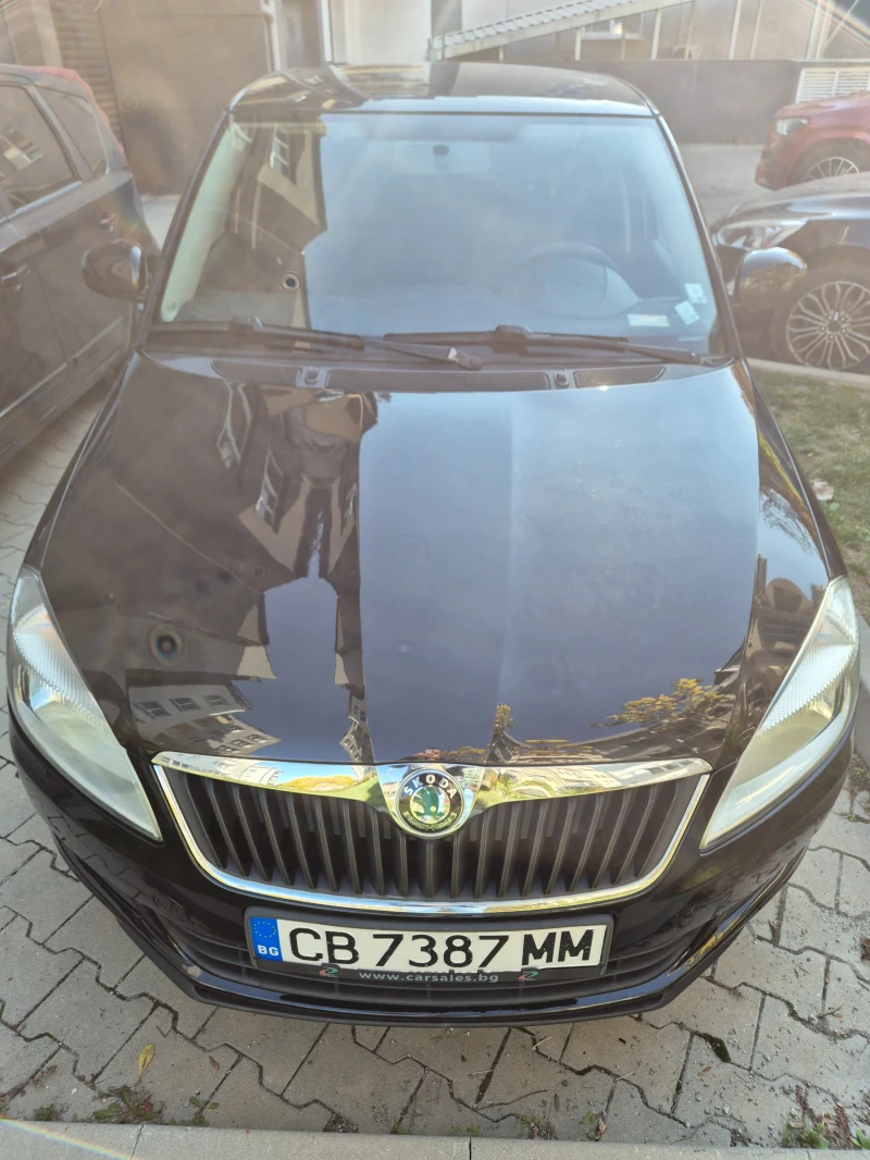 Skoda Fabia II 1.2 TSI DSG, снимка 3 - Автомобили и джипове - 47807147